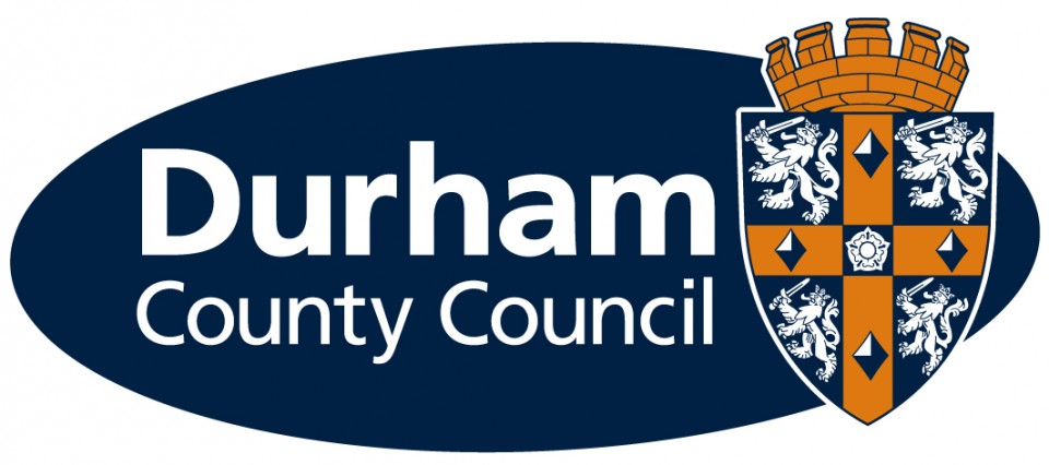 DCC Logo 09 Std.jpg
