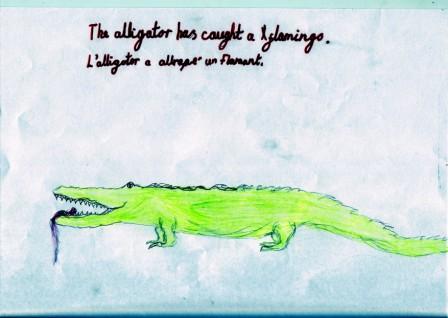 alligator.jpg