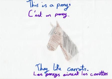 poney.jpg