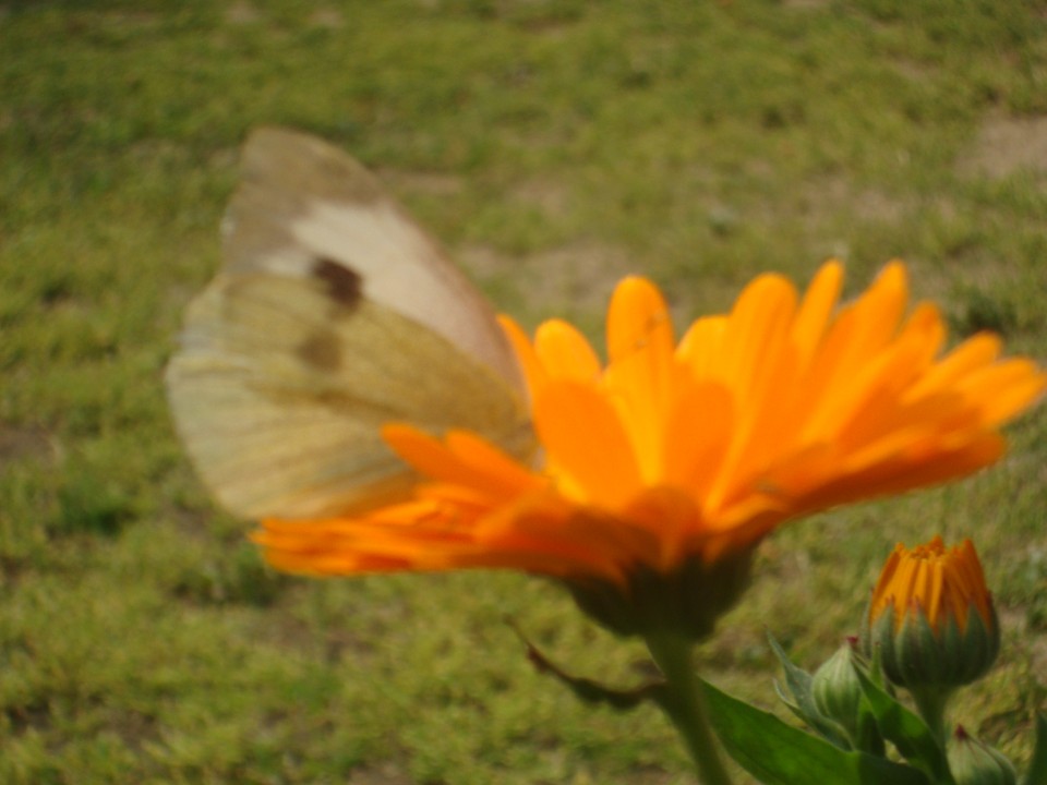 pic 1 202.jpg