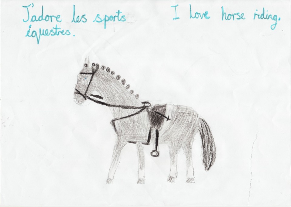 les sports equestres.jpg